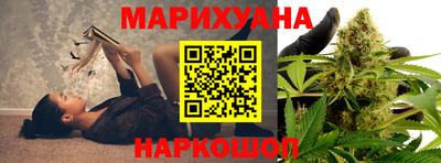 шишки Ноябрьск