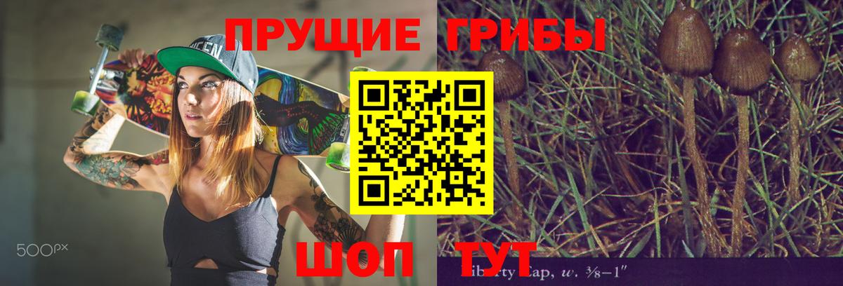 Псилоцибиновые грибы мухоморы  Вход с VPN  Ноябрьск  Псилоцибиновые грибы Magic Shrooms 