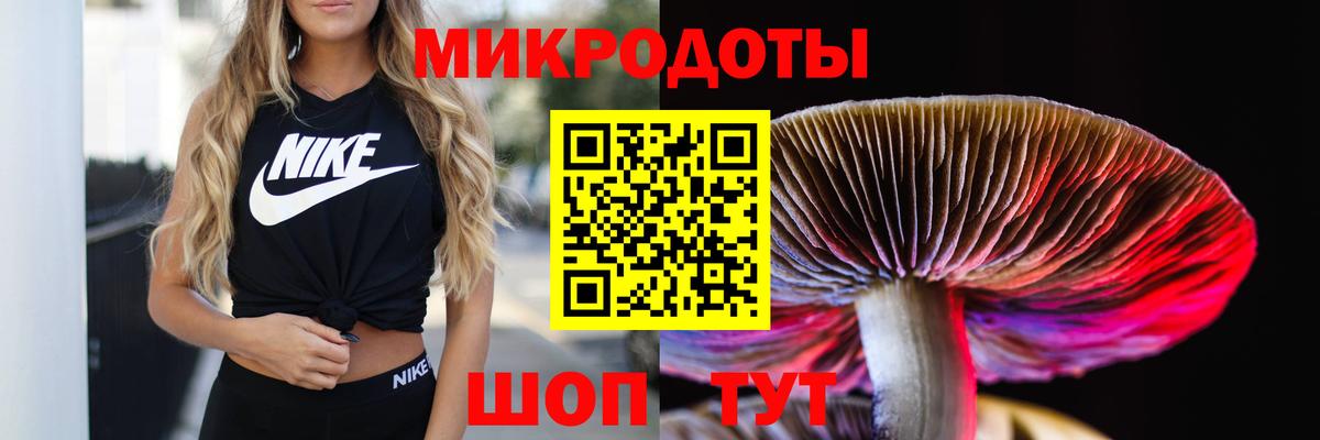 Псилоцибиновые грибы мухоморы Ноябрьск