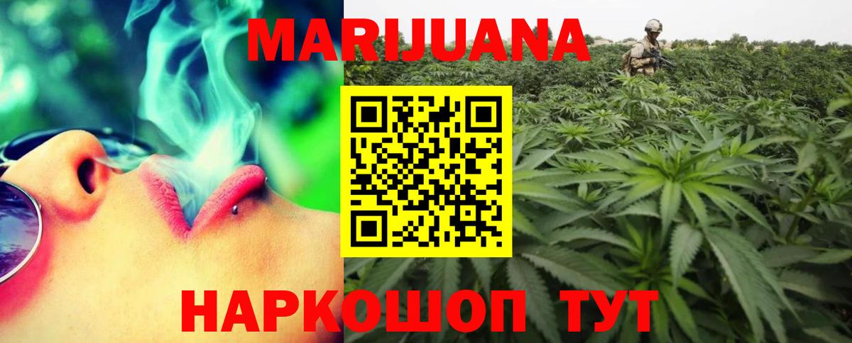 Бошки марихуана планчик  Вход с VPN  Каннабис семена  Шишки марихуана SATIVA & INDICA  Ноябрьск 