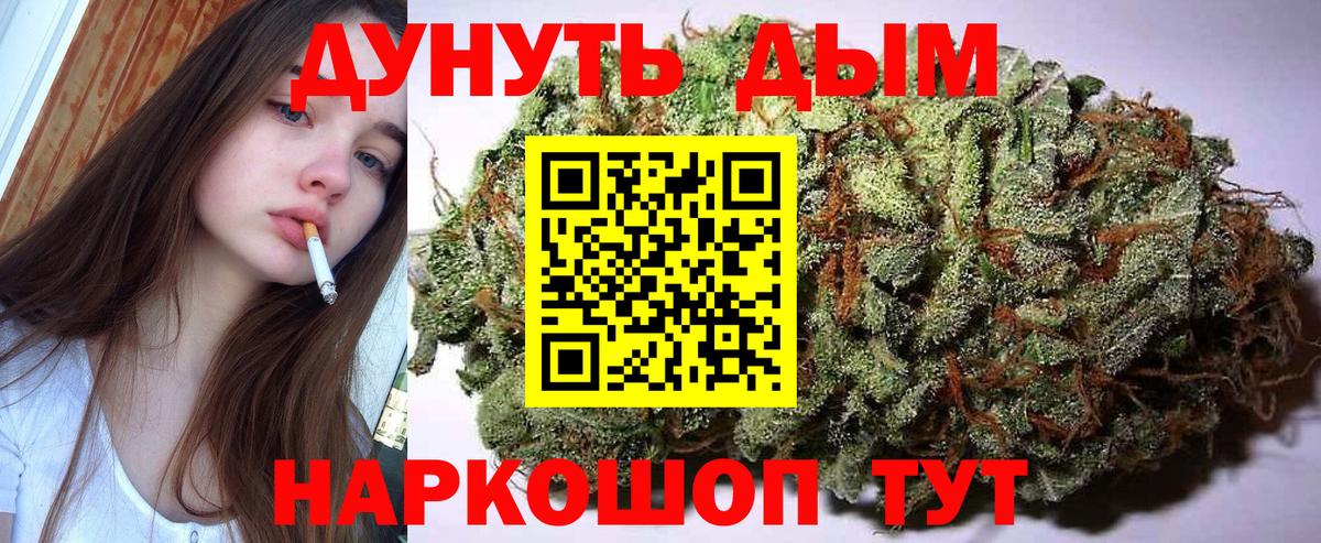 Конопля конопля Ноябрьск